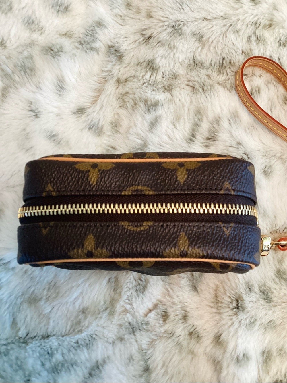 Louis Vuitton Trousse Wapity Pouch - Picture 5 of 10